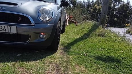 MINI Cooper S • 2015 • 80,000 km