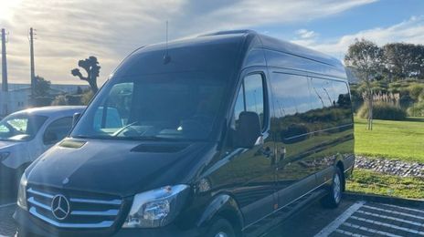 Mercedes-Benz Sprinter • 2015 • 95,000 km
