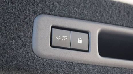 Lexus RX 400h • 2020 • 13,131 km