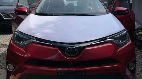 Toyota RAV4 EV • 2019 • 50,000 km