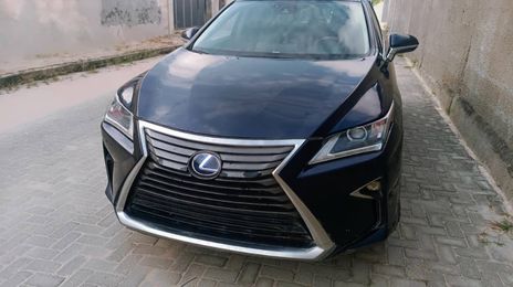 Lexus RX • 2017 • 311 km