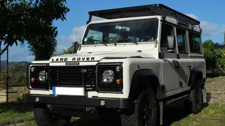 Land Rover Defender • 1995 • 31,000 km