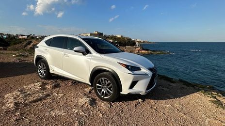 Lexus NX • 2019 • 88,500 km