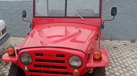 Fiat 500e • 1966 • 80,000 km