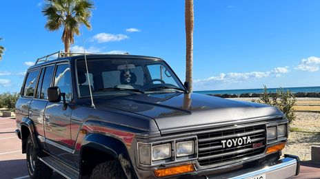 Toyota Land Cruiser • 1989 • 341,700 km