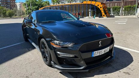 Ford Mustang • 2019 • 73,000 km