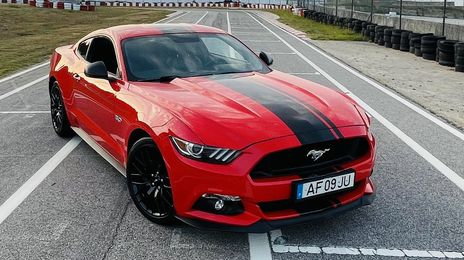 Ford Bronco II • 2017 • 30,000 km