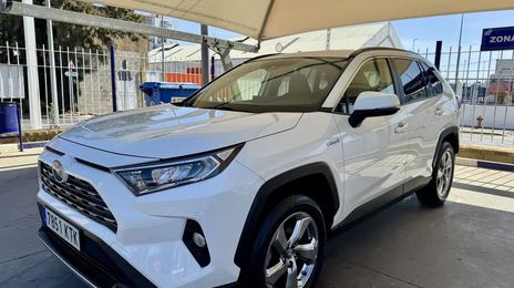 Toyota RAV4 Hybrid • 2019 • 178,000 km
