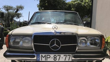 Mercedes-Benz 310 kombi • 1987 • 250,000 km