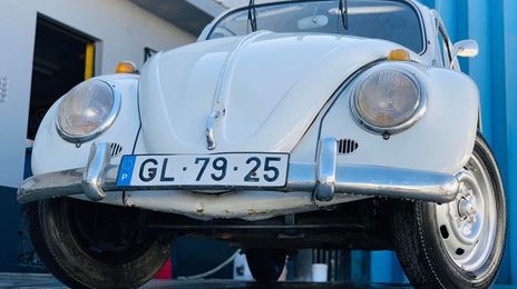 Volkswagen Cabriolet • 1967 • 19,000 km