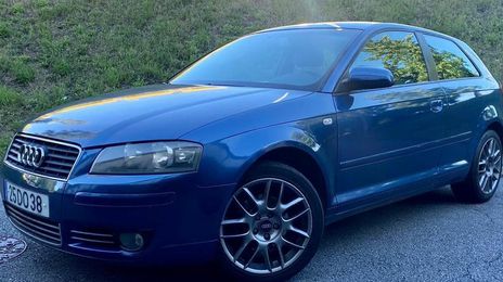 Audi A3 • 2004 • 295,000 km