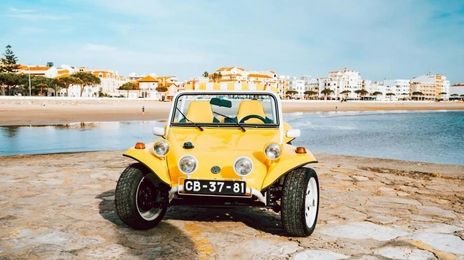 Volkswagen Beetle • 1964 • 17,338 km