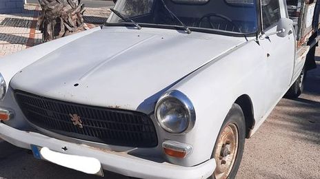 Peugeot 405 • 1980 • 500 km