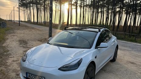 Tesla Model 3 • 2021 • 41,250 km