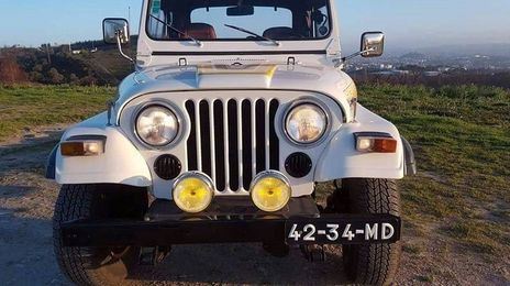 Jeep Renegade • 1980 • 200,000 km