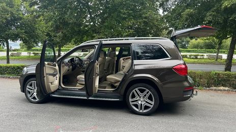 Mercedes-Benz GL-Class • 2015 • 115,000 km