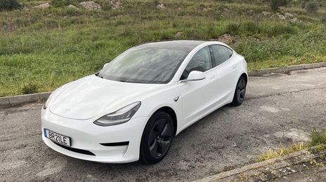 Tesla Model 3 • 2019 • 110,000 km