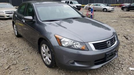 Honda Accord • 2008 • 10,000 km