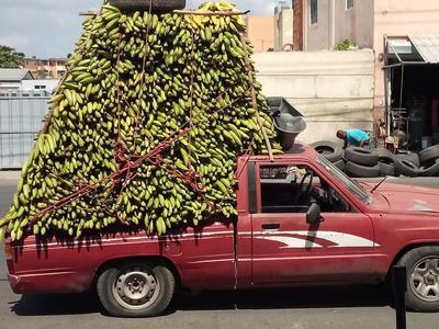 Toyota Hilux • 1988 • 50 km