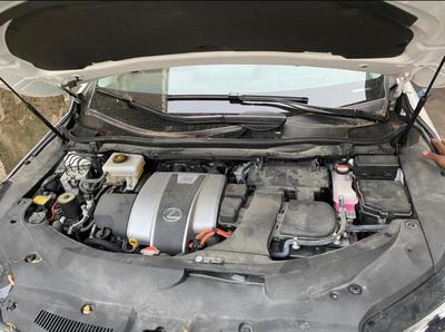 Lexus RX 450h • 2018 • 20,000 km