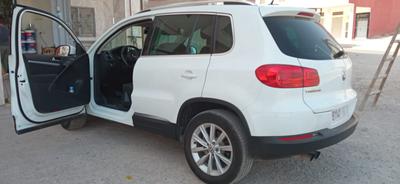 Volkswagen Tiguan • 2014 • 265,000 km