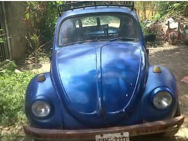 Volkswagen Beetle • 1971 • 300 km