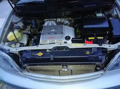 Lexus RX 300 • 1999 • 3,950 km