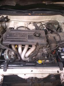 Toyota Corolla • 2002 • 10,500 km