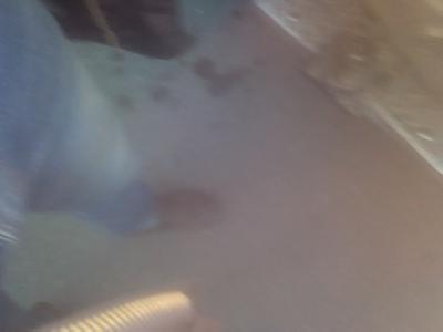 Mitsubishi Space Star • 1983 • 3,380,000 km