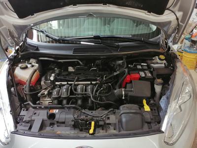 Ford Fiesta • 2017 • 16,000 km