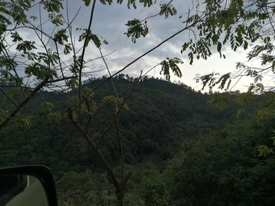 Mazda BT • 2014 • 161,000 km