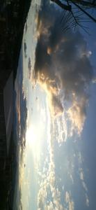 Renault Logan • 2011 • 125,900 km