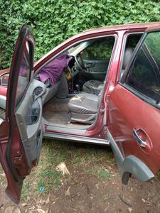 Hyundai Santa Fe • 2001 • 200,000 km