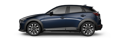 Mazda CX-3 • 2018 • 12,000 km