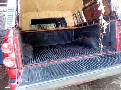 Dodge RAM • 2008 • 101,000 km