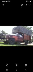 Chevrolet C-10 • 1979 • 1 km