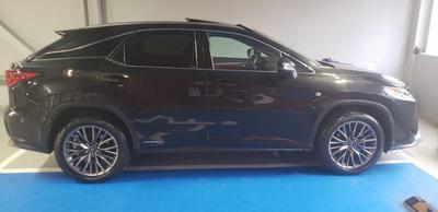 Lexus RX 450h • 2019 • 10,000 km