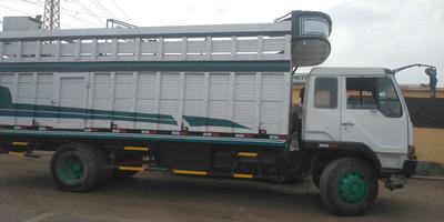 Mitsubishi Fuso canter • 1995 • 111,111 km